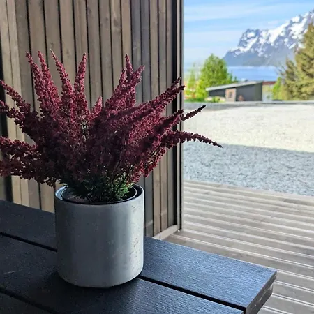 The House Of Aurora I *